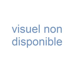 Henri Rivière Lith. 289 - Affiche promotionnelle, 1913 - La Féérie des Heures