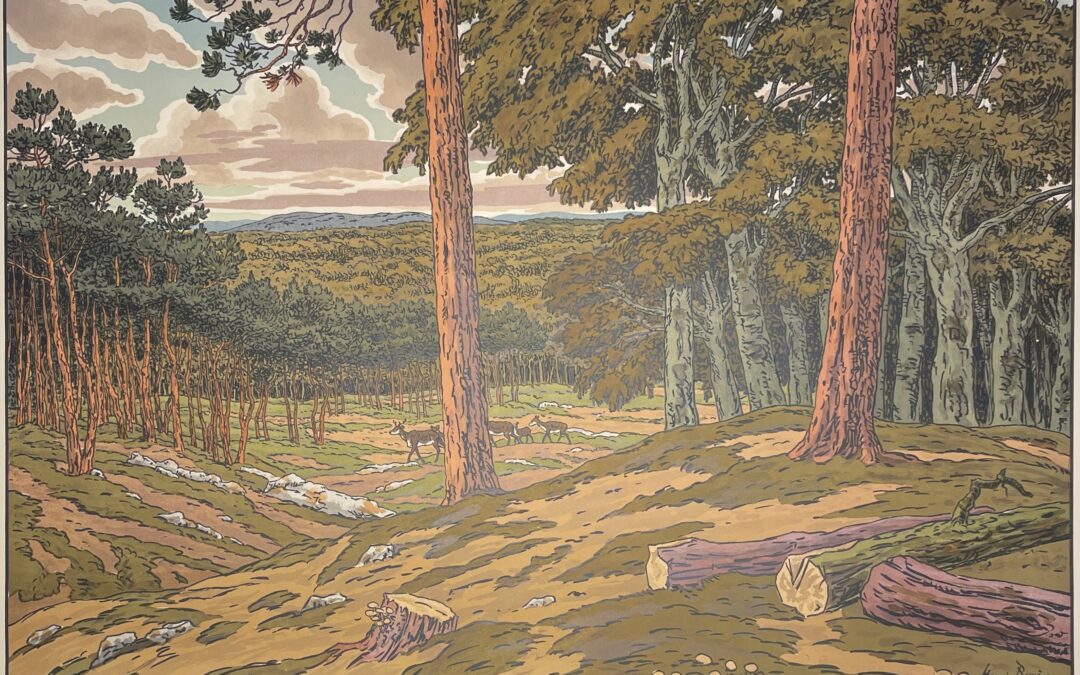 Découvrez notre newsletter !