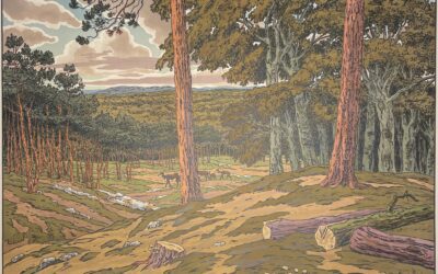 Découvrez notre newsletter !