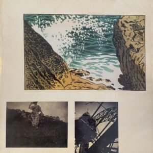 Henri Rivière Graveur et photographe, Réunion des musées nationaux, 1988